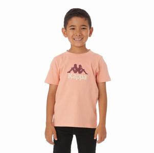 Kappa Authentic Molongio T Shirts Pink Coral | 60187-NCHJ