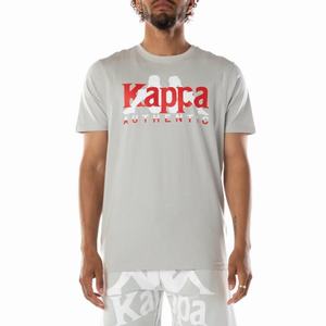 Kappa Authentic Vanguard T Shirts Grey White | 81365-VHSZ