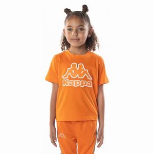 Kappa Logo Bant T Shirts Orange | 87920-TSEN