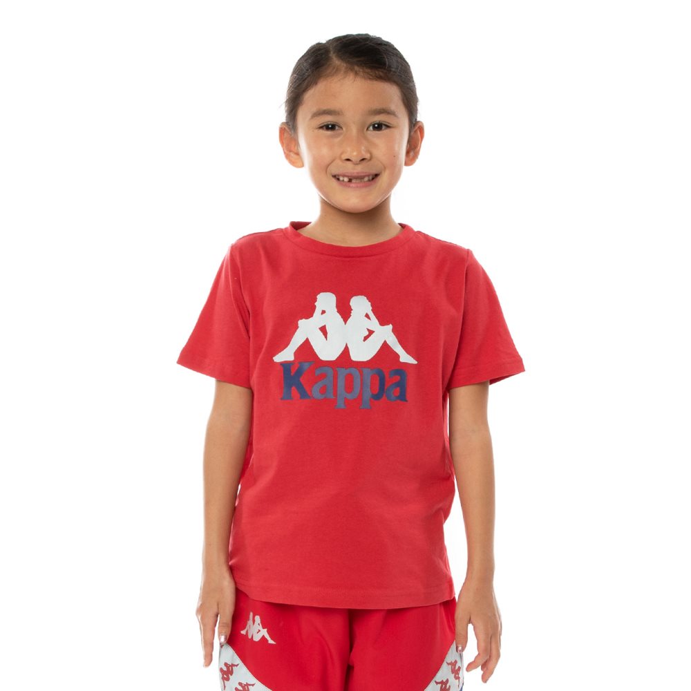 Kappa Authentic Dris Reflective T Shirts Red Blue | 05367-YECA