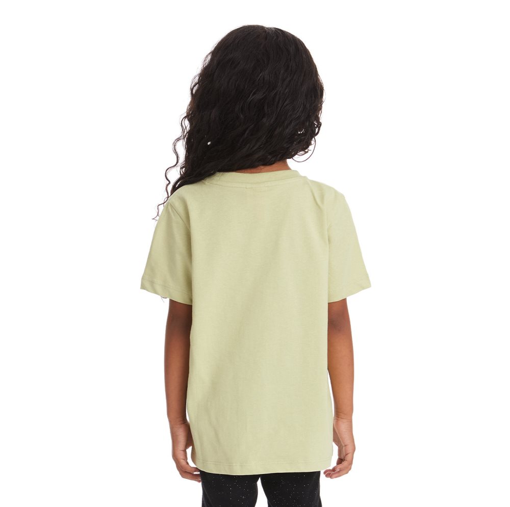 Kappa Authentic Estessi T Shirts Green Olive | 45028-WXDE