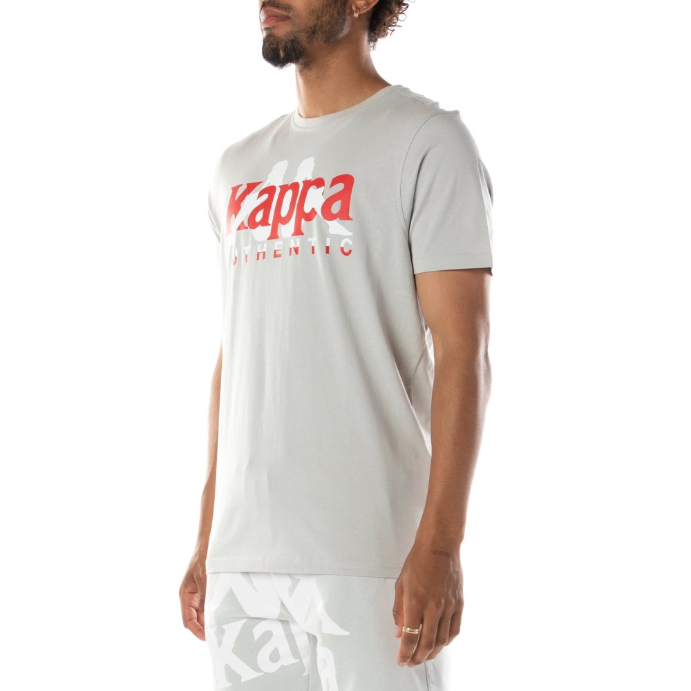 Kappa Authentic Vanguard T Shirts Grey White | 81365-VHSZ