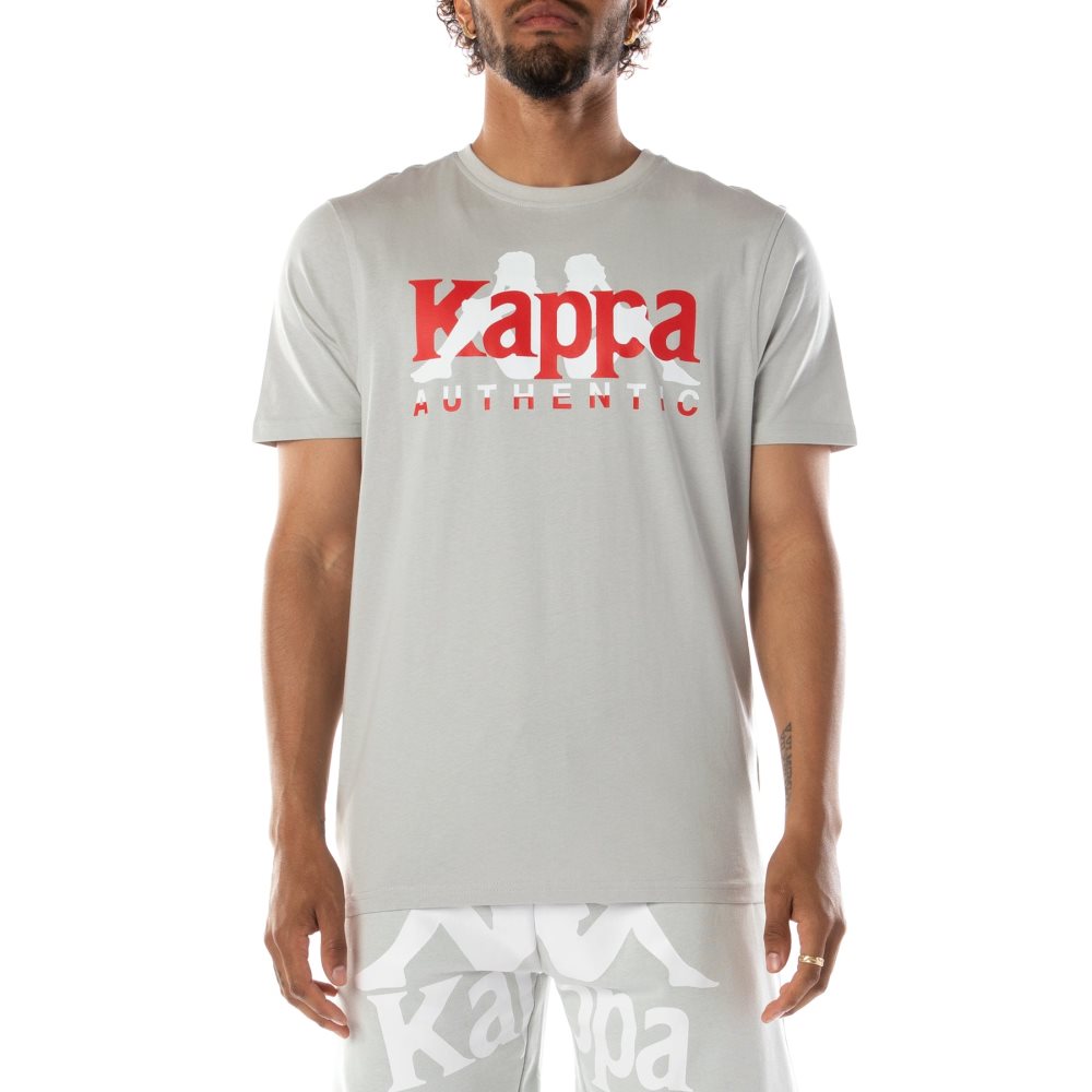 Kappa Authentic Vanguard T Shirts Grey White | 81365-VHSZ