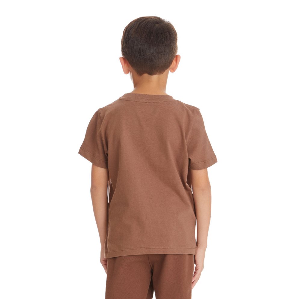 Kappa Logo Bant T Shirts Brown | 29386-IHPU