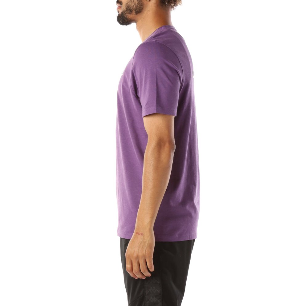 Kappa Logo Cabal T Shirts Purple | 32847-GYPN